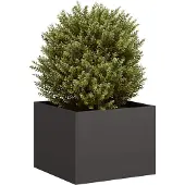 Prolenta Maison Exclusive - Bac à plantes noir 40x40x30 cm en acier