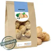 MycoMedica Hericium séché 100 grammes