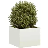 Prolenta Maison Exclusive - Jardinière blanche 40x40x30 cm en acier