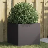 Prolenta Maison Exclusive - Bac à plantes noir 42x40x39 cm en acier