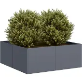 Prolenta Maison Exclusive - Bac à plantes anthracite 80x80x30 cm en acier