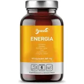 Panaseus énergie 50 gélules BI6060