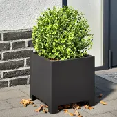 Prolenta Maison Exclusive - Bac à plantes noir 30x30x30 en acier
