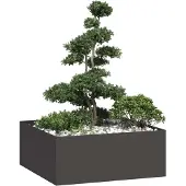 Prolenta Maison Exclusive - Bac à plantes noir 100x100x40 cm en acier