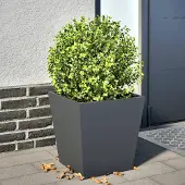 Prolenta Maison Exclusive - Bac à plantes anthracite 40x40x40 en acier