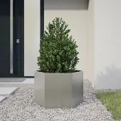 Prolenta Maison Exclusive - Bac à plantes hexagonal 69x60x45 en acier inoxydable