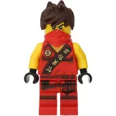 LEGO Ninjago : Kai + 12 Waffen dorés