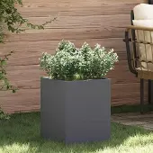 Prolenta Maison Exclusive - Jardinière anthracite 32 x 32 x 40 cm