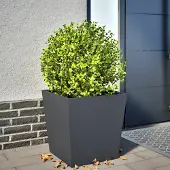 Prolenta Maison Exclusive - Bac à plantes anthracite 50x50x50 cm en acier