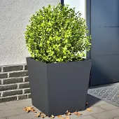 Prolenta Maison Exclusive - Bacs à plantes 2 pièces anthracite 50x50x50 acier