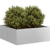 Prolenta Maison Exclusive - Bac à plantes 80x80x30 cm Acier galvanisé