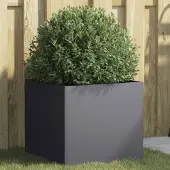 Prolenta Maison Exclusive - Bac à plantes anthracite 42x40x39 cm en acier