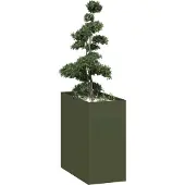 Prolenta Maison Exclusive - Jardinière vert olive 40x80x80 cm en acier