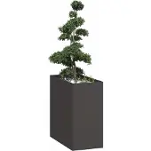 Prolenta Maison Exclusive - Bac à plantes noir 40x80x80 cm en acier
