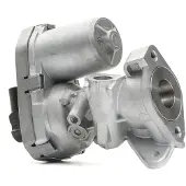 Delphi Soupape EGR EG10399-12B1