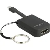 DeLOCK Avec porte-clés - Noir -