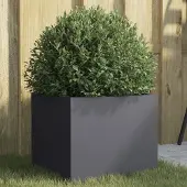 Prolenta Maison Exclusive - Bac à plantes anthracite 32x30x29 cm en acier