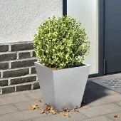 Prolenta Maison Exclusive - Bac à plantes 30x30x30 cm Acier galvanisé