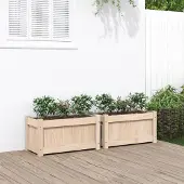 Prolenta Maison Exclusive - 2 bacs à plantes en pin massif