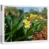 Raxxa puzzle Premium "Iris sur un parterre de fleurs", 1000 pièces
