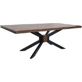 MASSIVMOEBEL24.DE MASSIVMOEBEL24 | Table à manger 210x107 Manguier laqué Brun STILMÖBEL #121