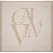 Calvin Klein Foulard cappuccino / moka