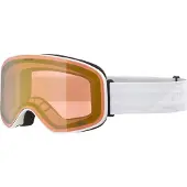 Alpina Masque de ski