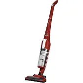 Rowenta Aspirateur à batterie RH6543