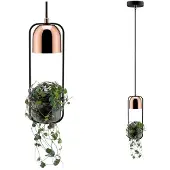 Paulmann Lampe suspendue Neordic Fanja Plants