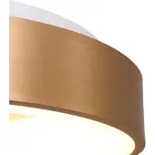 Steinhauer LED ceiling lamp Ringlede Ø 30cm