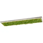 Leuchtendirekt Plafonnier LED rectangulaire GREEN KNUT, couleur mousse naturelle, 25 W, blanc chaud, 2050 lm, dimensions : 5,6 x 25 x 100 cm, IP20, Leuchten Direkt