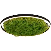 JUST LIGHT Plafonnier LED rond GREEN RITUS, couleur mousse naturel-noir, 28 W, blanc chaud, 960 lm, dimensions : 5,3 x 58,5 x 58,5 cm, IP20, Leuchten Direkt
