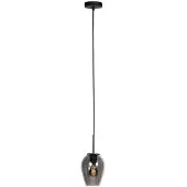 Steinhauer Suspension HaloSwap avec 1 verre à fumée Ø 15cm