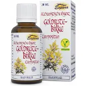 Espara GmbH Espara Solidago Birke Compositum Essence alchimique 30 ml