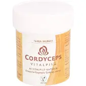 Terra CORDYCEPS Vitalpilz (Mundo), 60 St KAP