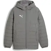 Puma Veste d’hiver gris