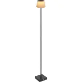 Globo Lighting Gregoir LED Lampadaire 4W CCT IP44 Noir Mat, Métal Ø13cm 58434SBB (310 lm)