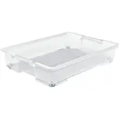 Rotho Boîte de rangement sous le lit 50 l EVO EASY, couleur : transparent