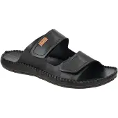 Pikolinos Mule