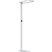 DOTLUX 3542-340240