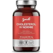 Panaseus cholestérol dans la norme 50 gélules BI6054