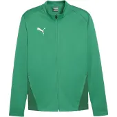 Puma Vestes d’entraînement 'TeamGoal' vert / vert foncé / blanc