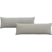 vidaXL Coussins de canapé 2 pcs Gris clair 120 x 40 cm tissu