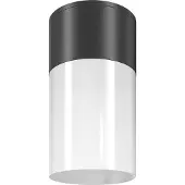 Maytoni Willis plafonnier, lampe de plafond E27 noir IP54 (E27)