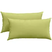 vidaXL Coussins de canapé 2 pcs Vert clair 80 x 40 cm tissu