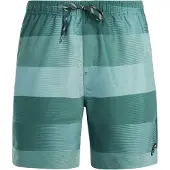 Protest Lomond Swimming Shorts Vert S Homme