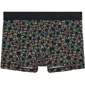 Hom Boxer