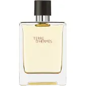 Hermès Paris Terre D'Eau de toilette flacon de 100 ml