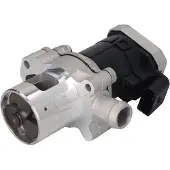 Delphi Vanne EGR EG10430