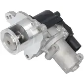 Delphi Vanne EGR EG10622-12B1